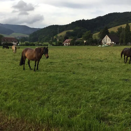 Fewo Bella Margitta Baumann Stegen Exterior foto