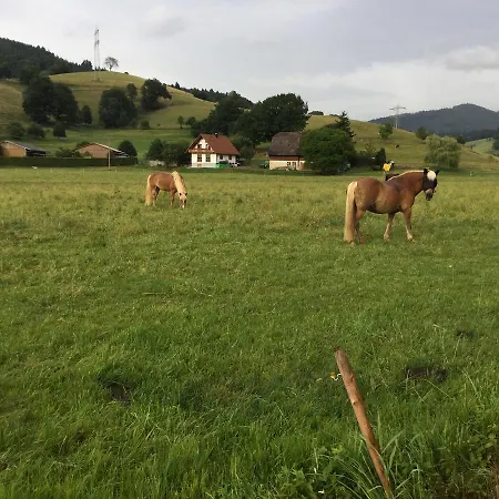 Fewo Bella Margitta Baumann Stegen Exterior foto